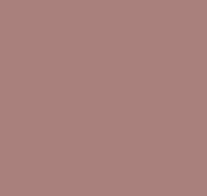 Plain AM3 221