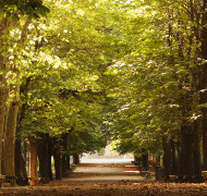 Scenery Illusion DS 012