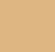 Plain AM3 002/2