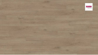 Ламинат Haro TRITTY 100 Loft 4V Дуб Венето Кремовый