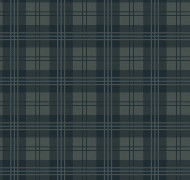 Quilt Brit 7 005