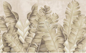 Фотообои/фрески Oasis арт. 32701 Banana leaves sepia
