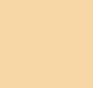 Plain AM3 002/1