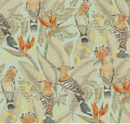 Hoopoe ETD7 005