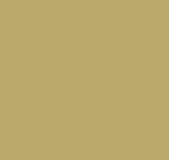 Plain AM3 005/1