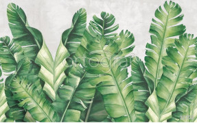 Фотообои/фрески Oasis арт. 32702 Banana leaves green