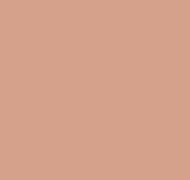 Plain AM3 103