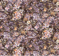 Bloom ETD21 010
