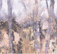 Thicket ETD6 007