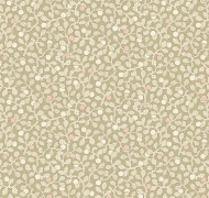 Bilberry Als6 005