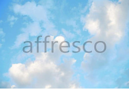 Фотообои/фрески Affresco Сюжеты , Небо арт. ID13490