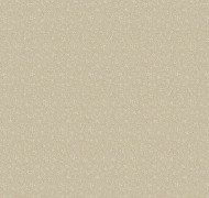 Curio V3 008