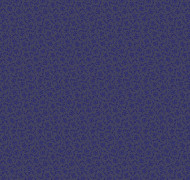 Curio V3 021