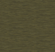 Ripples QTR6 005