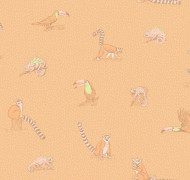 Madagascar D9 007