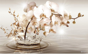 Фотообои/фрески 3D Эффект арт 6717 Веточка орхидеи
