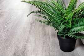 Каменно-полимерная плитка (SPC) Alpine Floor Ясень Серый ECO 134-5