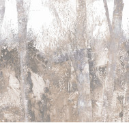 Thicket ETD6 001