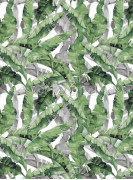 Фотообои/фрески Oasis арт. 32769 Banana leaves