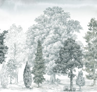 Балтийская коса ART14 011