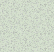 Songbird GT7 005/2