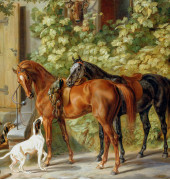 Classic Illusion DC 014