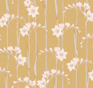 Gladiolus Als2 004