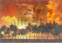 Фотообои/фрески Affresco Сюжеты , Романтика арт. 4728