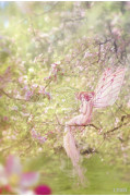 Фотообои/фрески Ortograf 17000 Apple Blossom