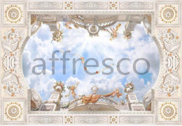 Фотообои/фрески Affresco Сюжеты, Сюжеты для потолков арт. 9167